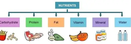 Der Einfluss von Vitamin D auf die Gesundheit